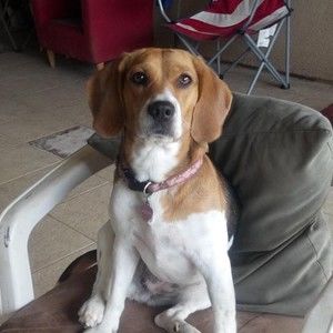 Meet your Posher, Jerry